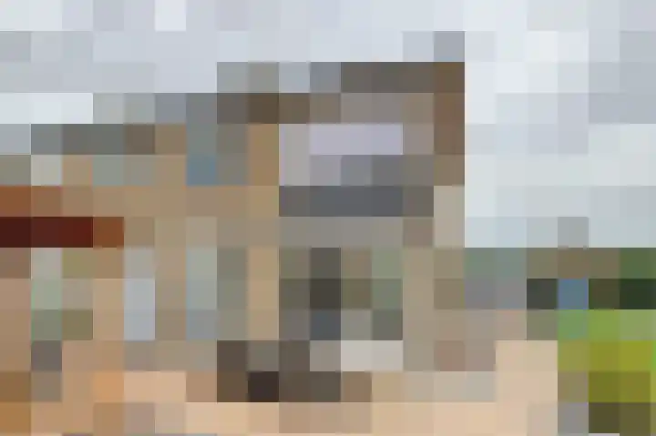 Reestraat 21 Herkenbosch thumbnail 26