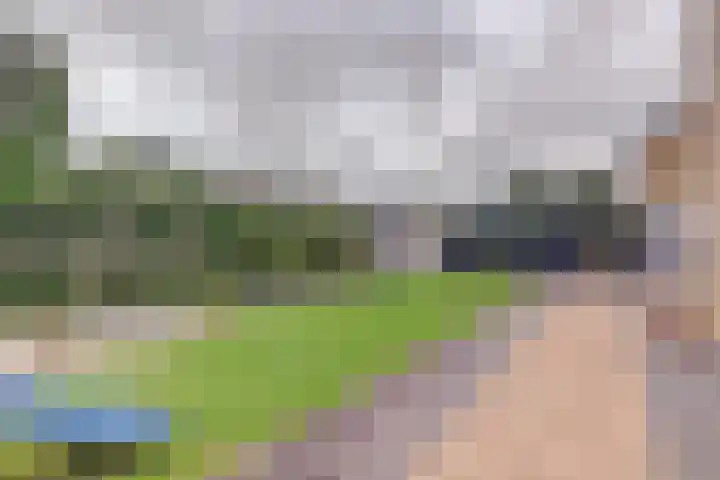 Reestraat 21 Herkenbosch thumbnail 33