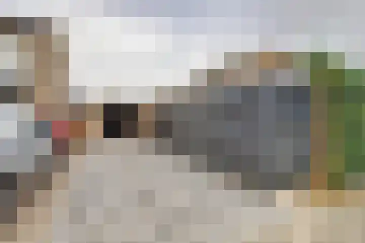 Reestraat 21 Herkenbosch thumbnail 36