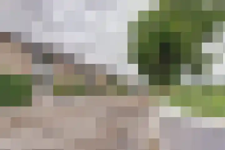 Reestraat 21 Herkenbosch thumbnail 39