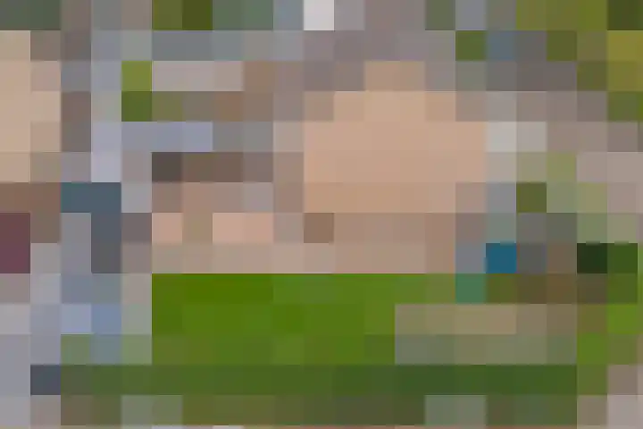Reestraat 21 Herkenbosch thumbnail 41
