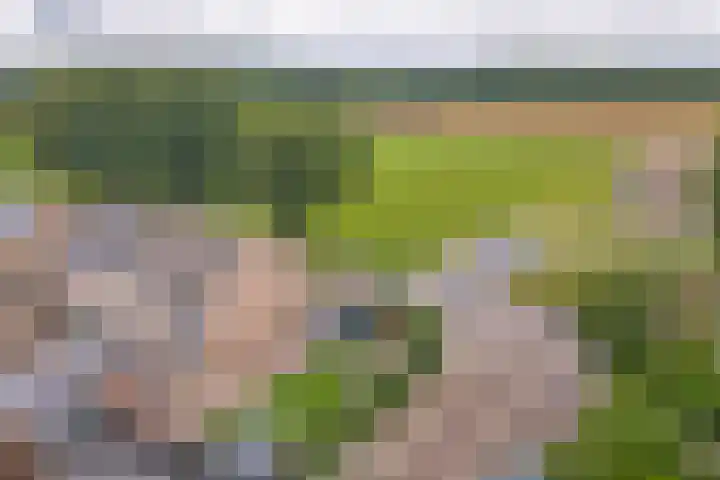 Reestraat 21 Herkenbosch thumbnail 43