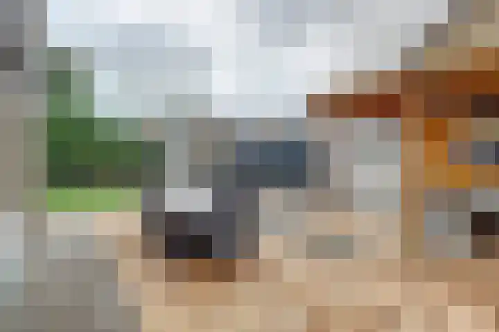 Reestraat 21 Herkenbosch thumbnail 6