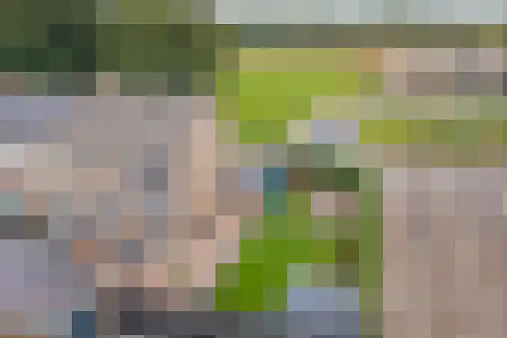 Reestraat 21 Herkenbosch thumbnail 7