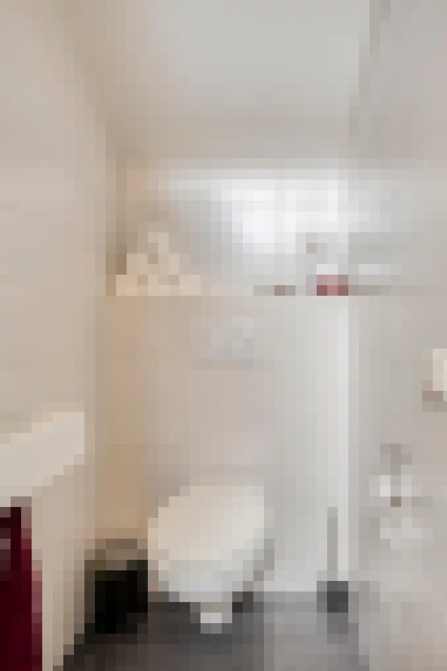 Reestraat 3 Arnhem thumbnail 10