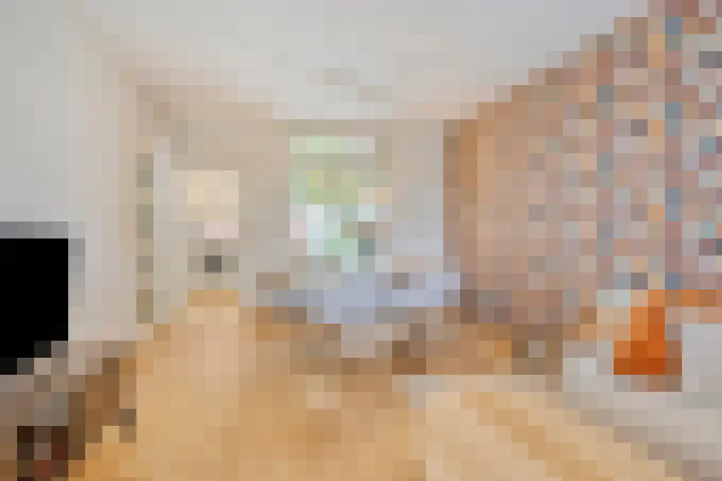 Reestraat 3 Arnhem thumbnail 13