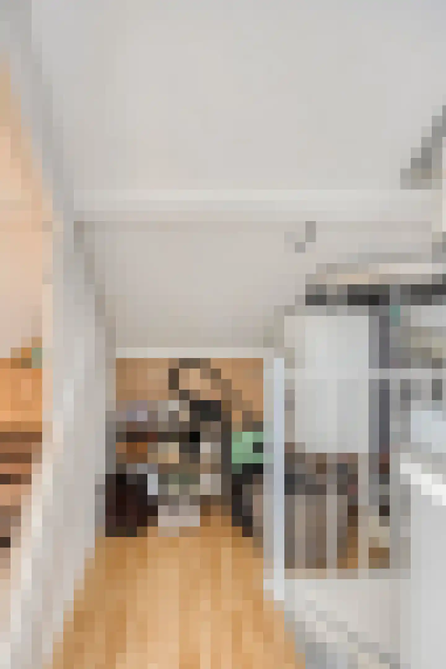 Reestraat 3 Arnhem thumbnail 27
