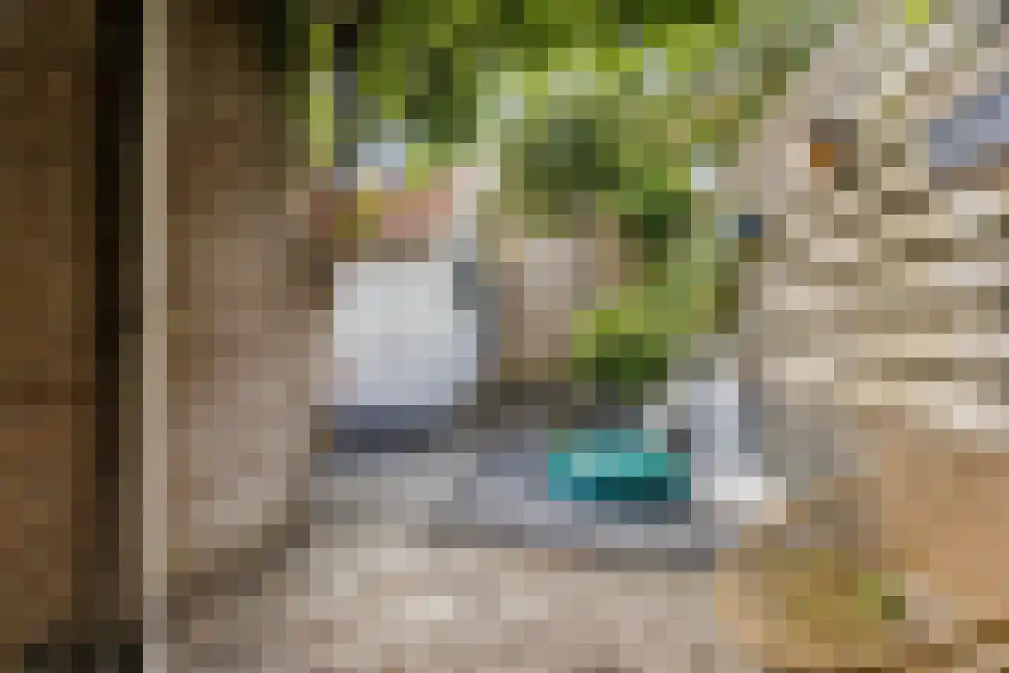 Reestraat 3 Arnhem thumbnail 29