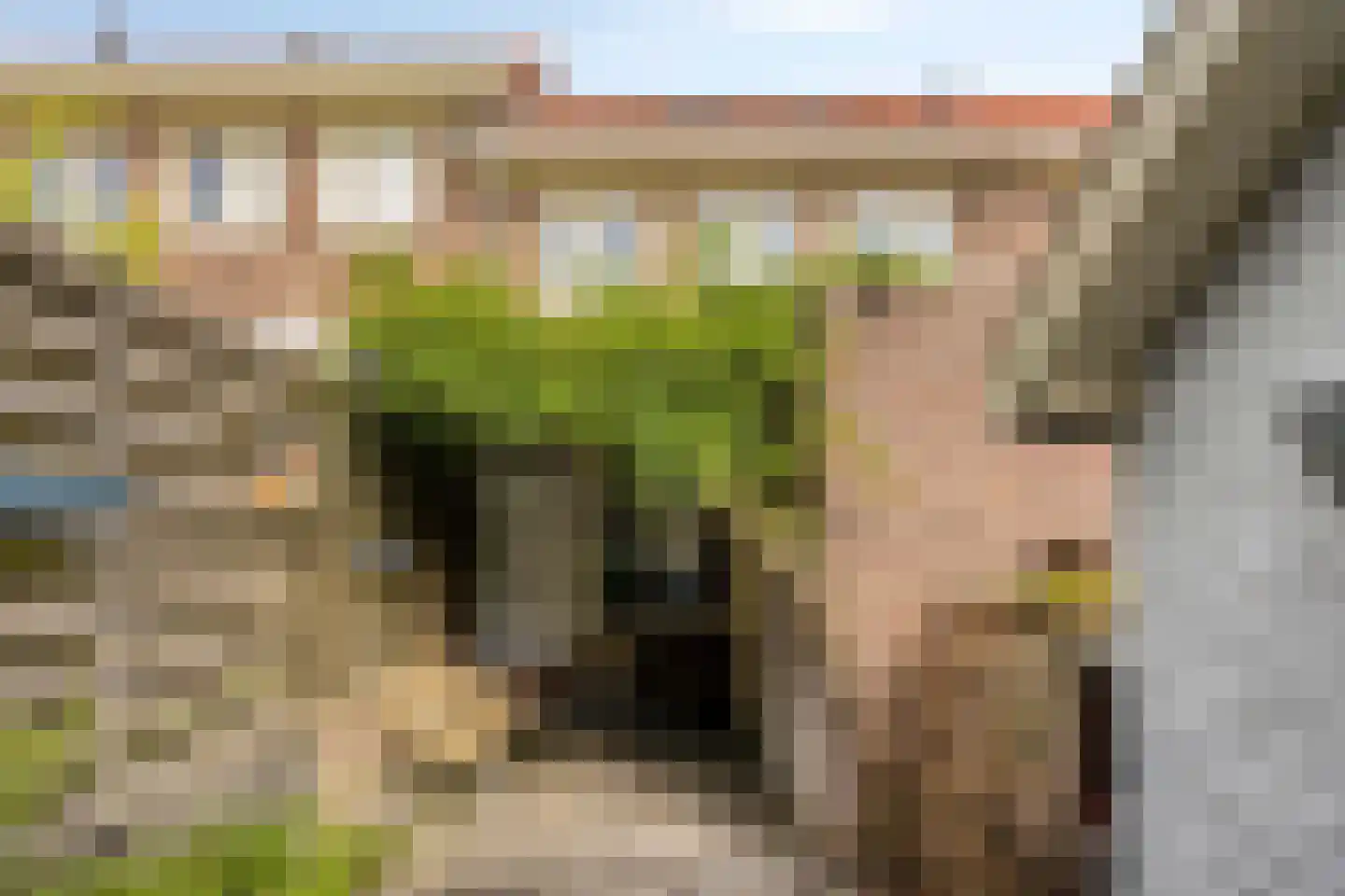 Reestraat 3 Arnhem thumbnail 30