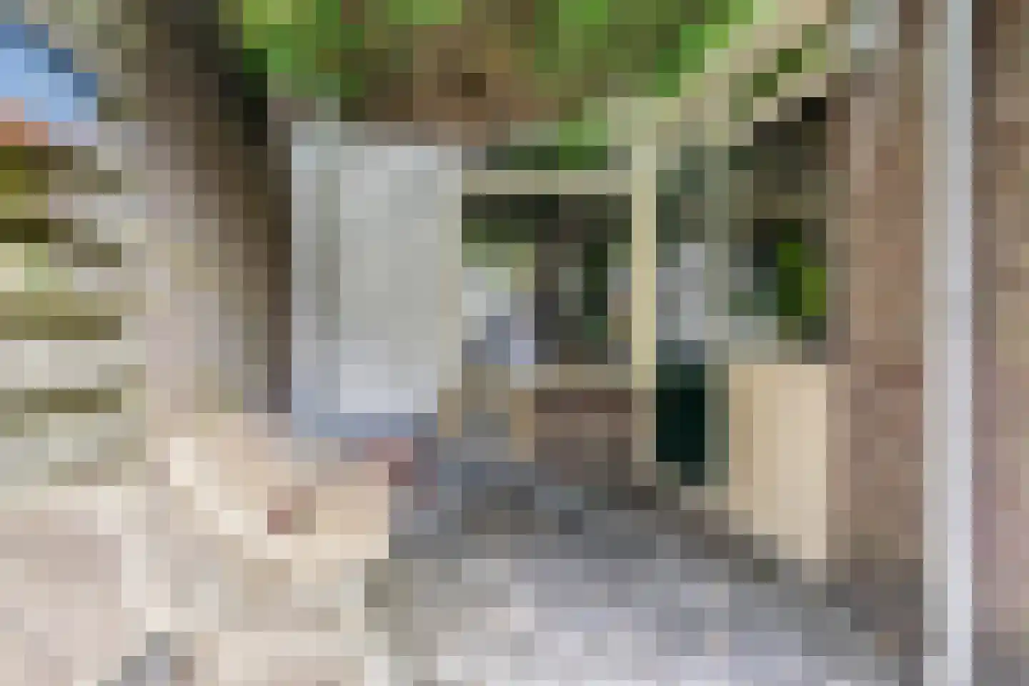 Reestraat 3 Arnhem thumbnail 31