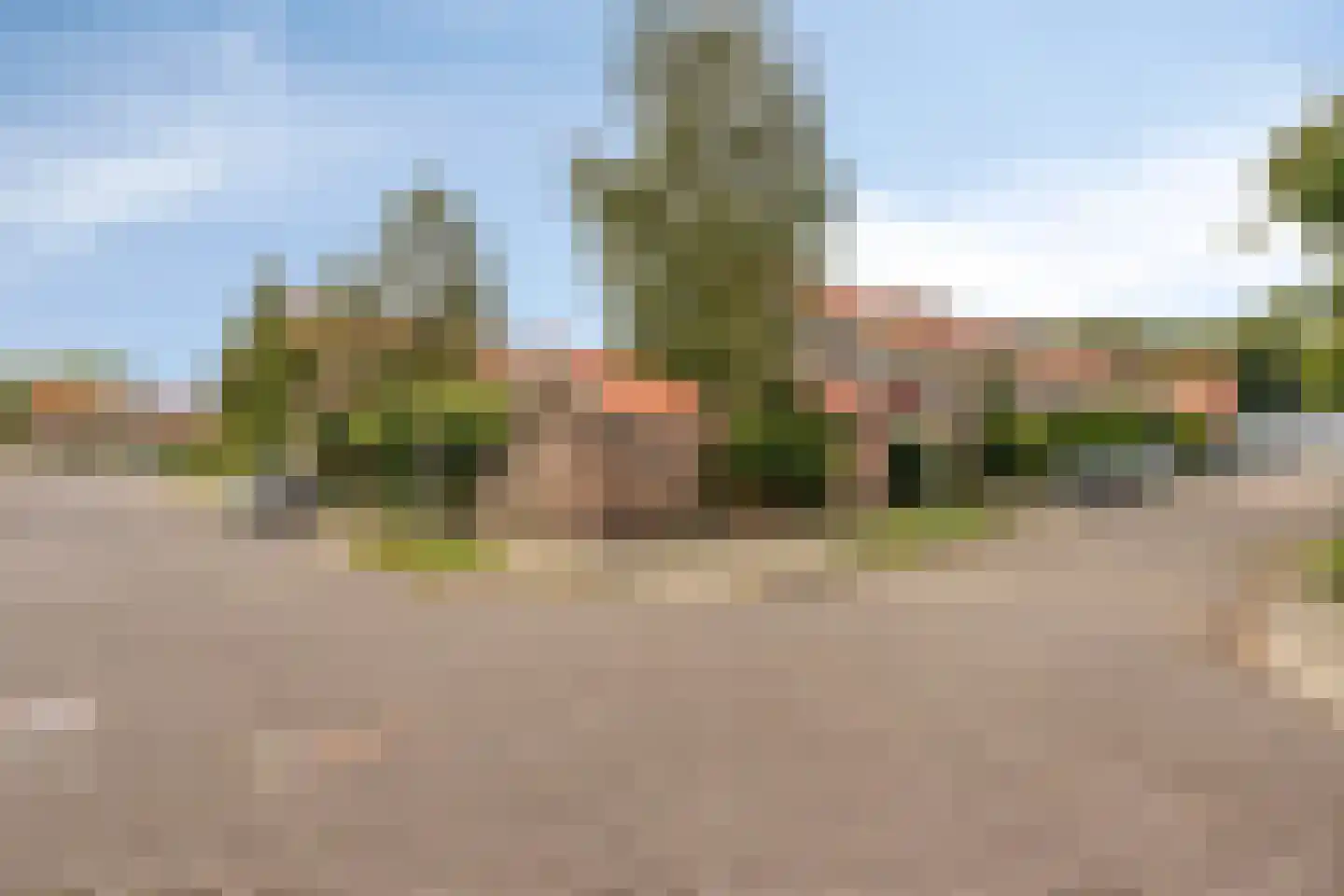 Reestraat 3 Arnhem thumbnail 32