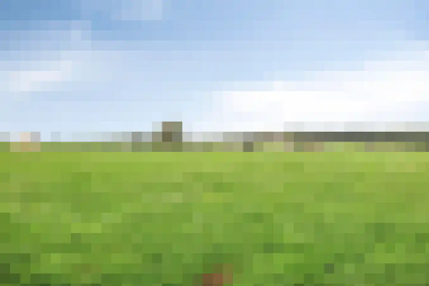 Reestraat 3 Arnhem thumbnail 7