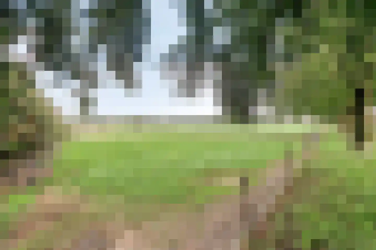 Reestraat 3 Arnhem thumbnail 8