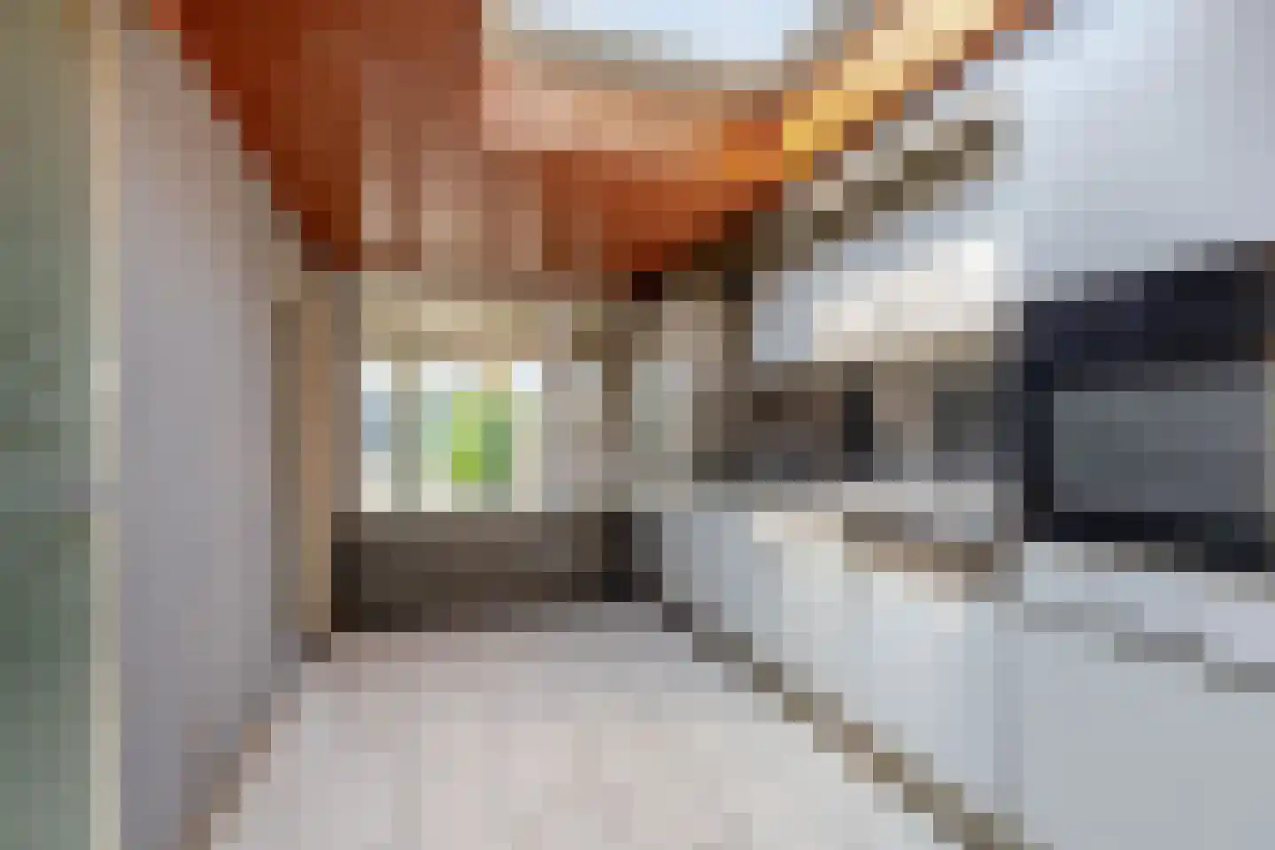Reestraat 31 Heerlen thumbnail 10