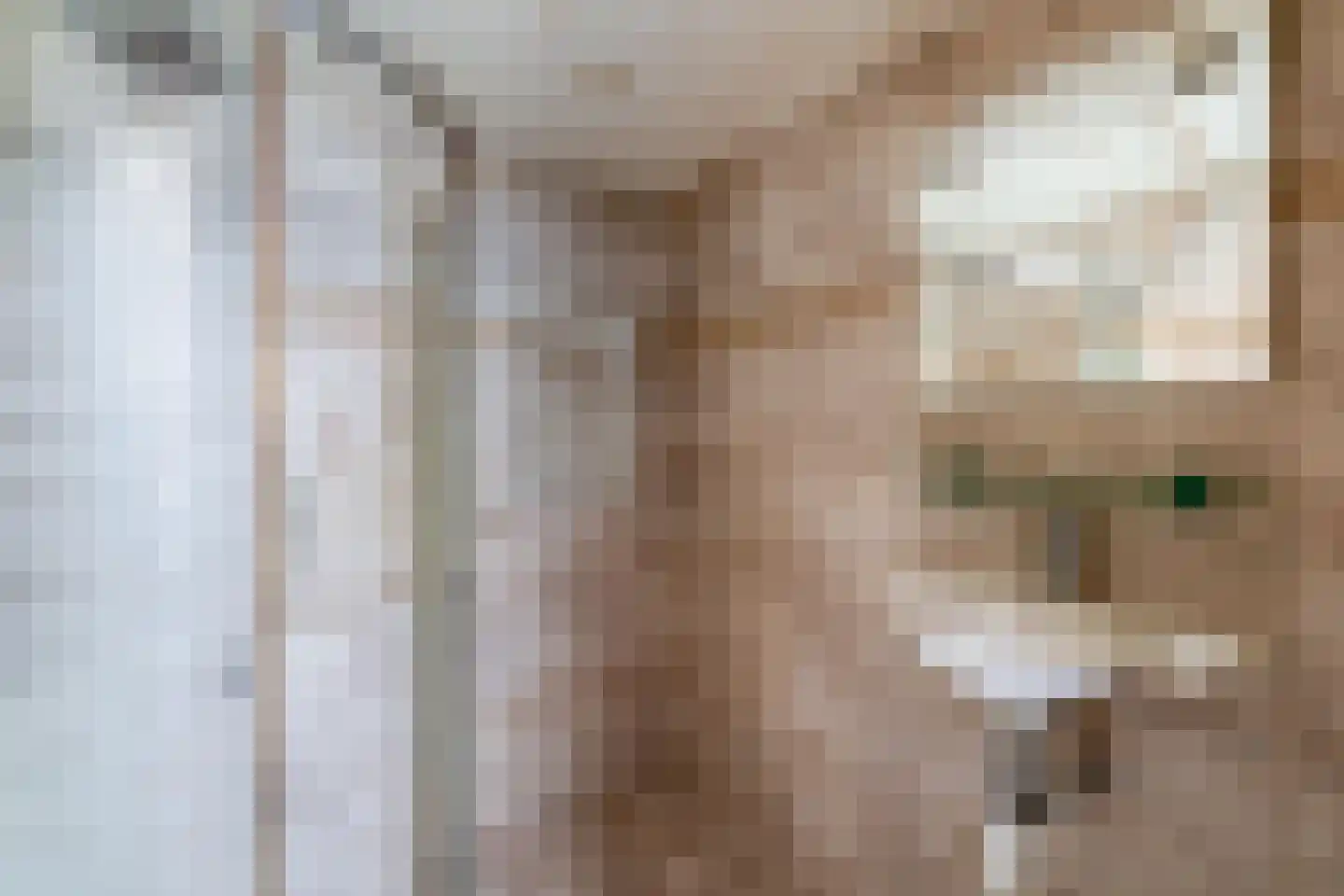 Reestraat 31 Heerlen thumbnail 22