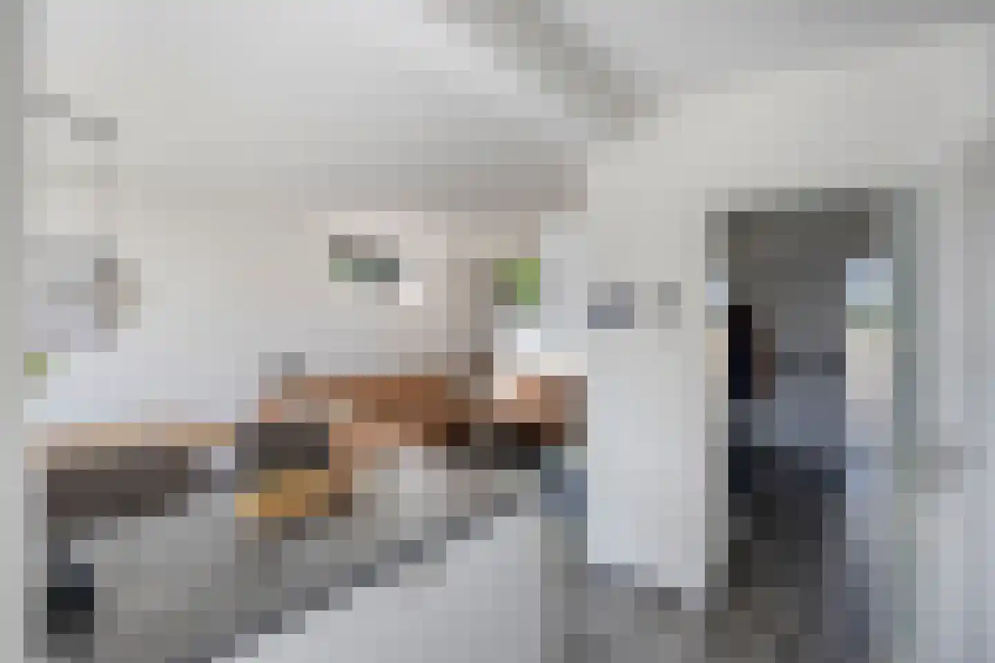 Reestraat 35 Herkenbosch thumbnail 17