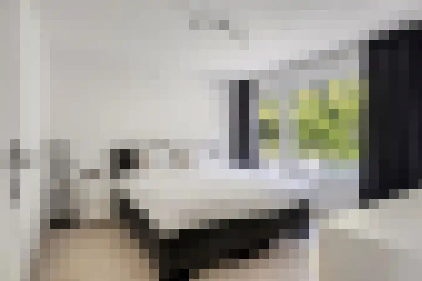 Reestraat 35 Herkenbosch thumbnail 19