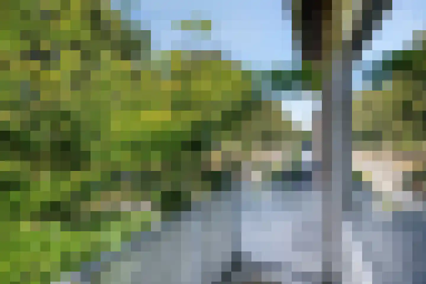 Reestraat 35 Herkenbosch thumbnail 21