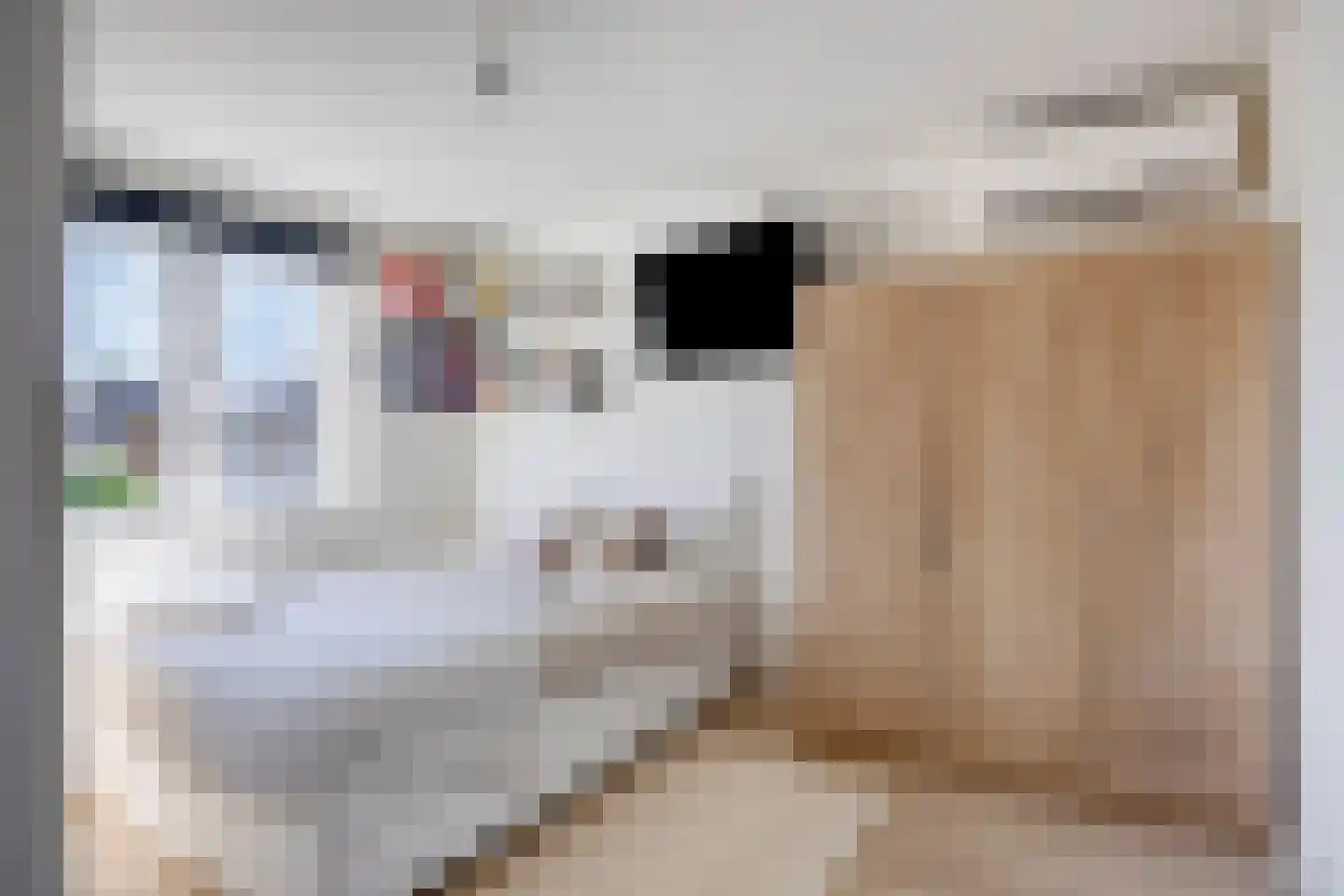 Reestraat 35 Herkenbosch thumbnail 22