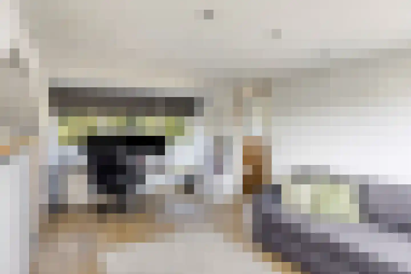 Reestraat 35 Herkenbosch thumbnail 28