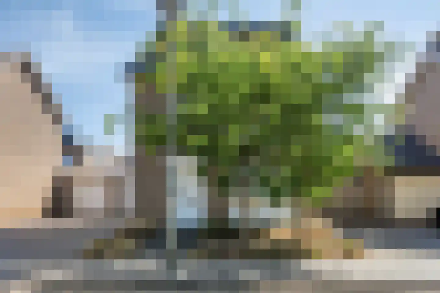 Reestraat 35 Herkenbosch thumbnail 5