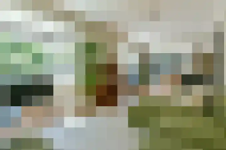 Reestraat 44 Hilversum thumbnail 10