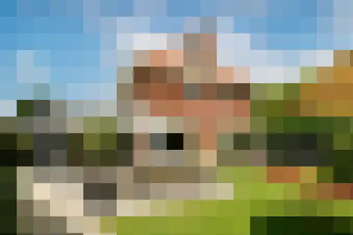 Reestraat 44 Hilversum thumbnail 17