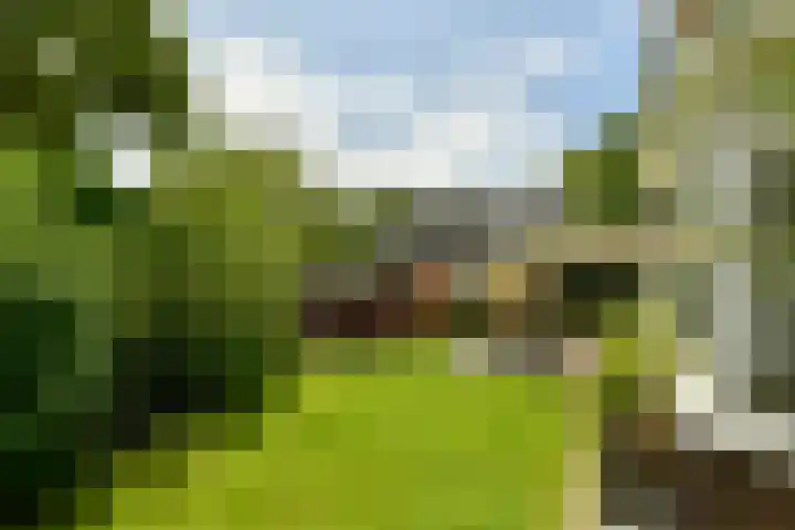 Reestraat 44 Hilversum thumbnail 18