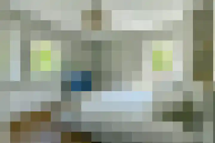 Reestraat 44 Hilversum thumbnail 21
