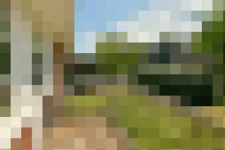 Reestraat 44 Hilversum thumbnail 25