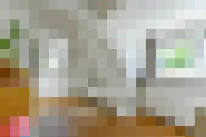 Reestraat 44 Hilversum thumbnail 28