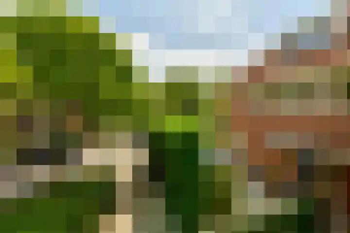 Reestraat 44 Hilversum thumbnail 32