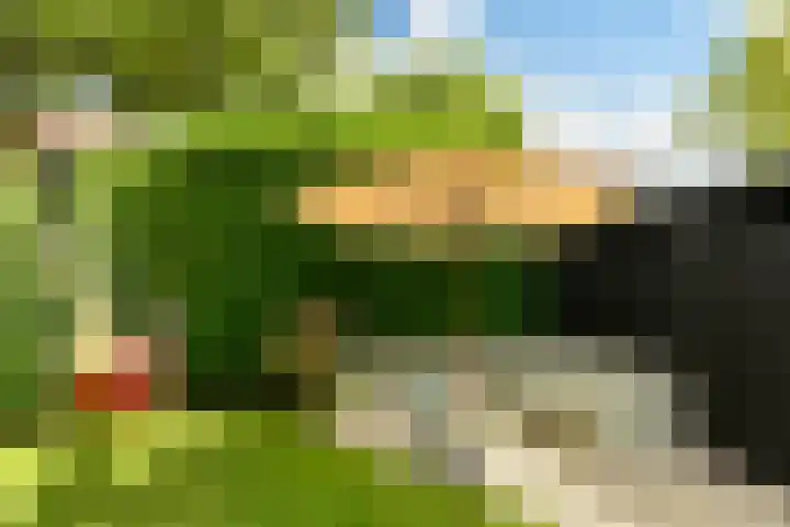 Reestraat 44 Hilversum thumbnail 33