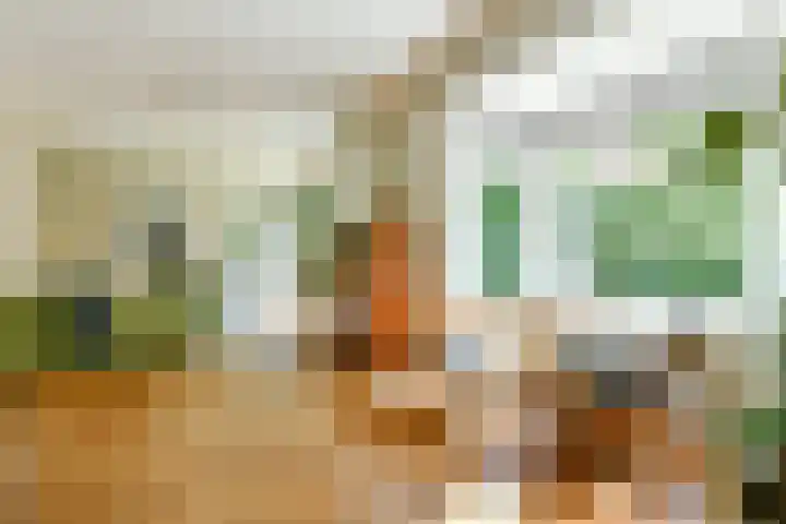 Reestraat 44 Hilversum thumbnail 7