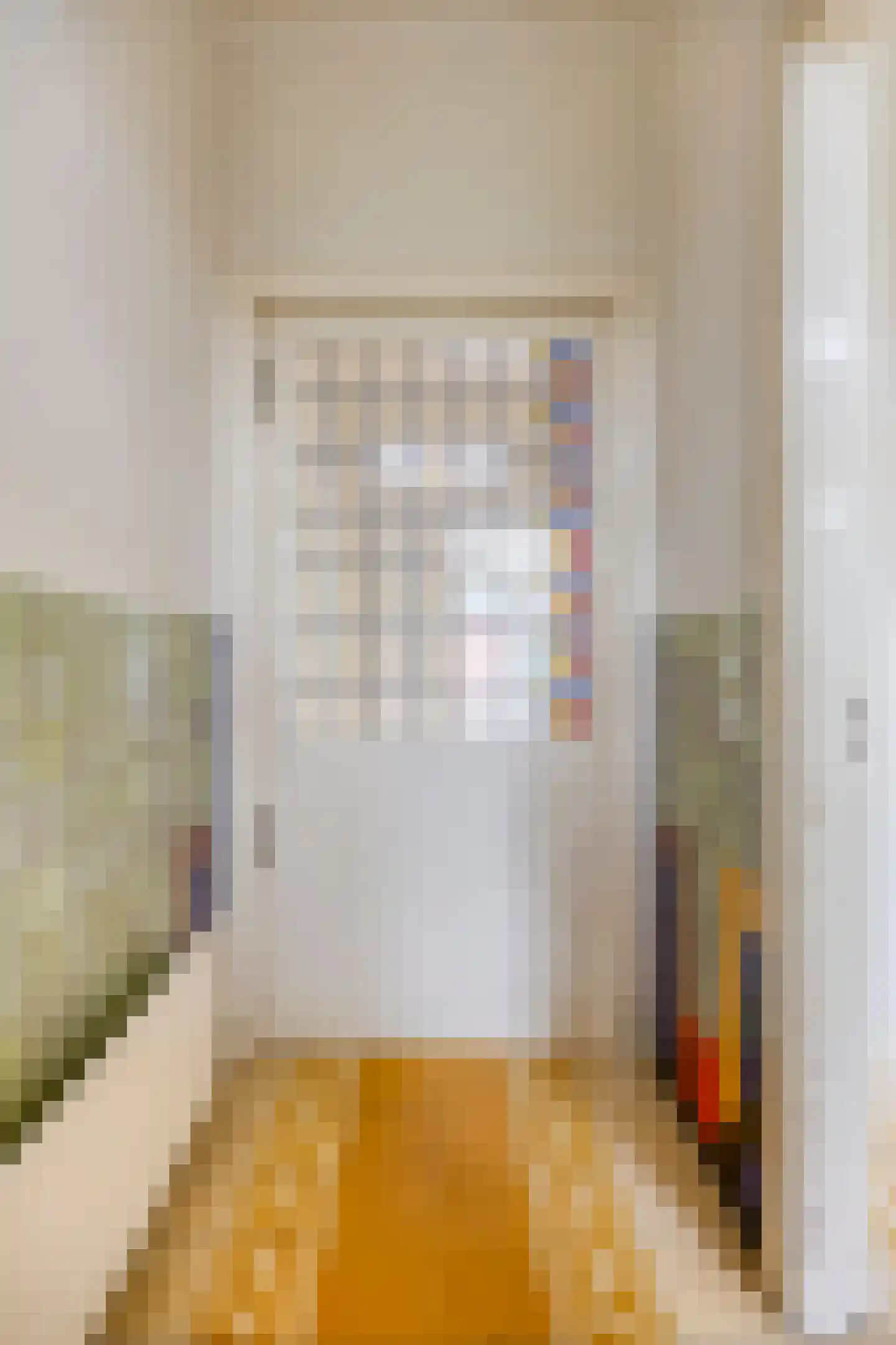 Reestraat 51 Nijmegen thumbnail 10