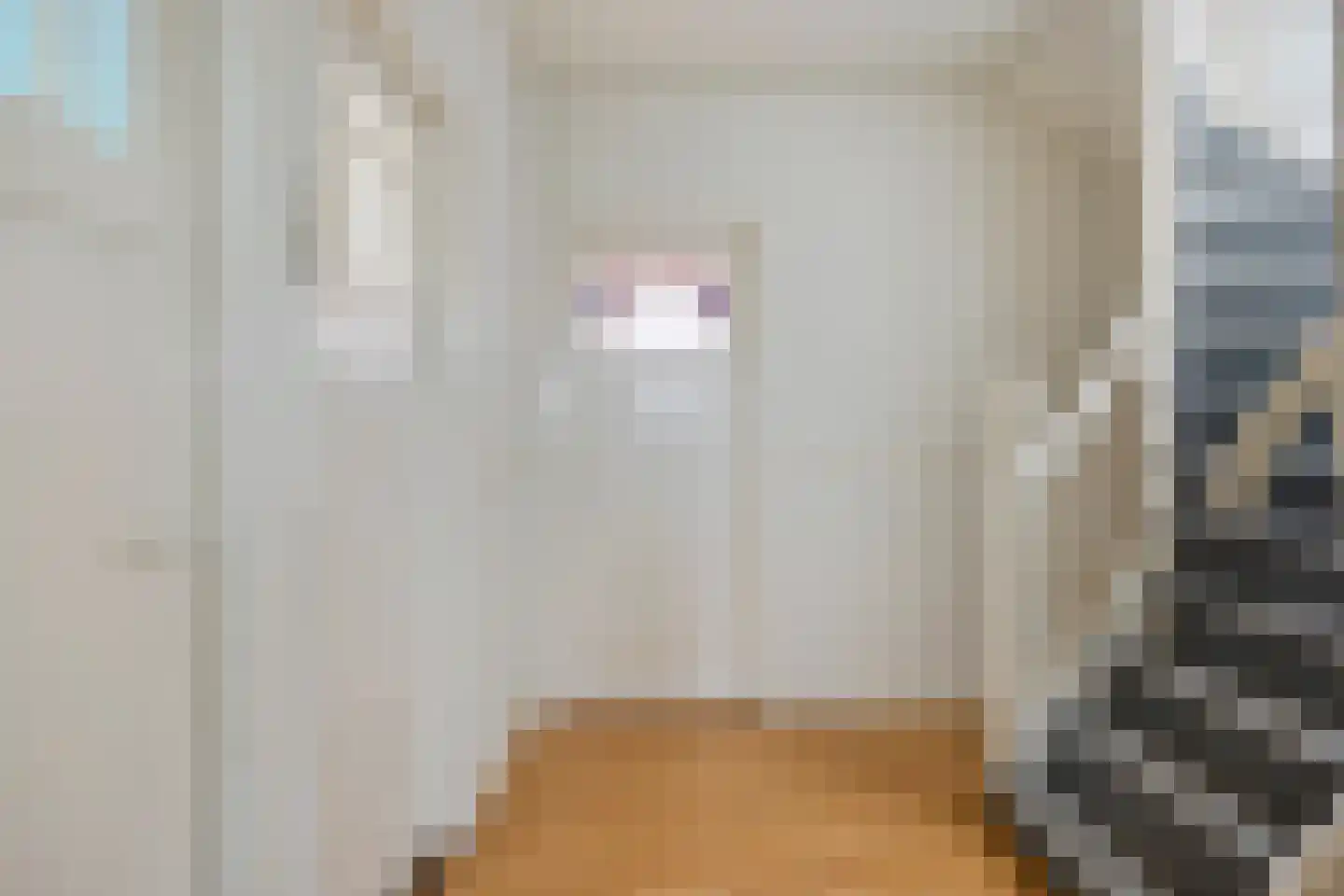 Reestraat 51 Nijmegen thumbnail 27