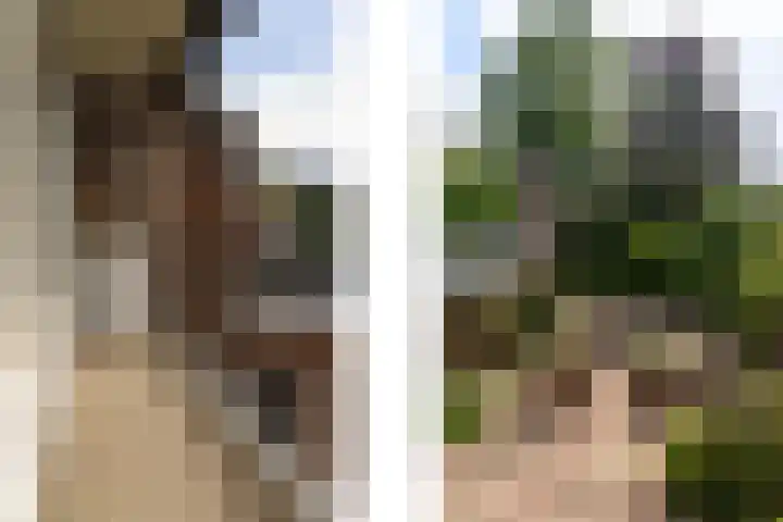 Reeststraat 11 Almelo thumbnail 29