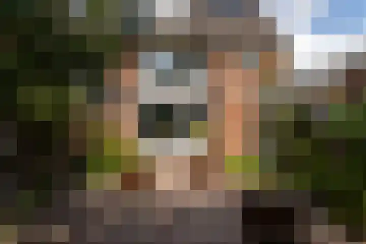 Reeststraat 11 Almelo thumbnail 32