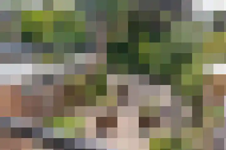 Reeststraat 11 Almelo thumbnail 35