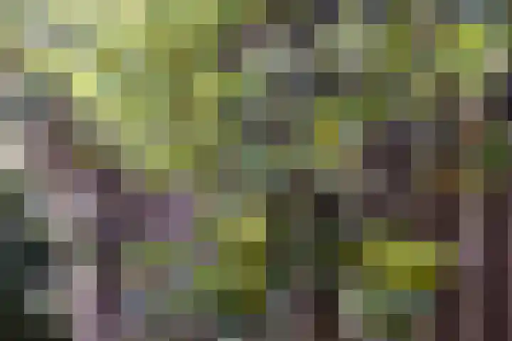 Reeststraat 11 Almelo thumbnail 36