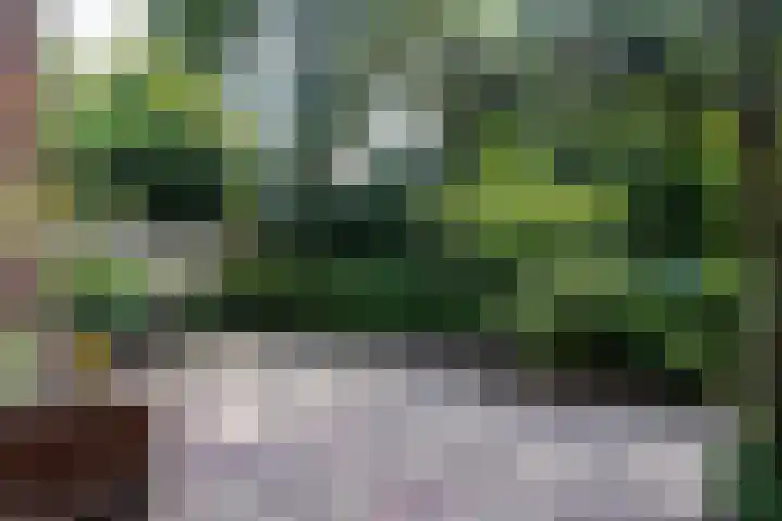 Reeststraat 11 Almelo thumbnail 37