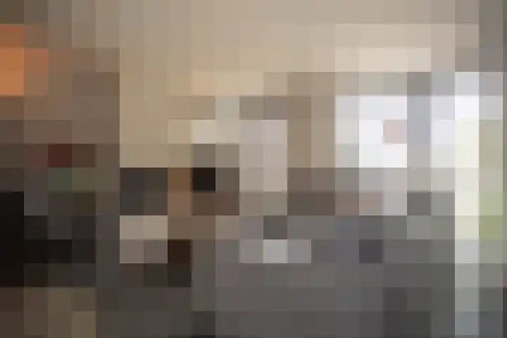 Reeststraat 29 Almelo thumbnail 13