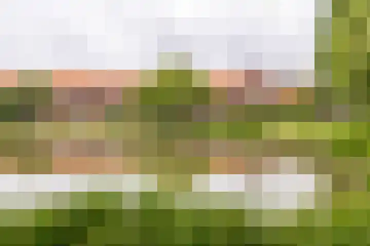 Reeststraat 29 Almelo thumbnail 16