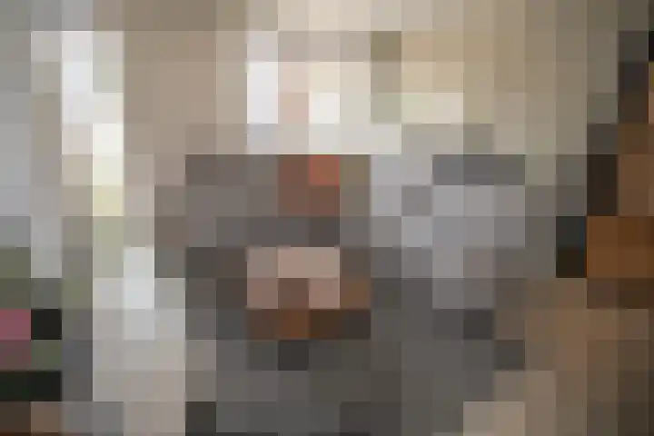 Reeststraat 29 Almelo thumbnail 16