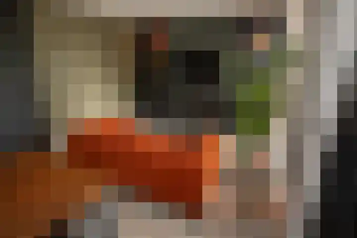 Reeststraat 29 Almelo thumbnail 20