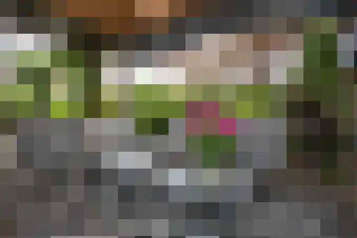 Reeststraat 29 Almelo thumbnail 30