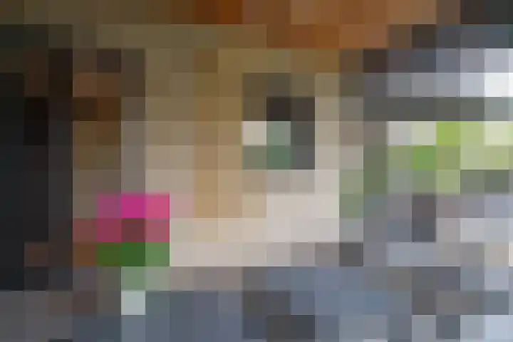 Reeststraat 29 Almelo thumbnail 31