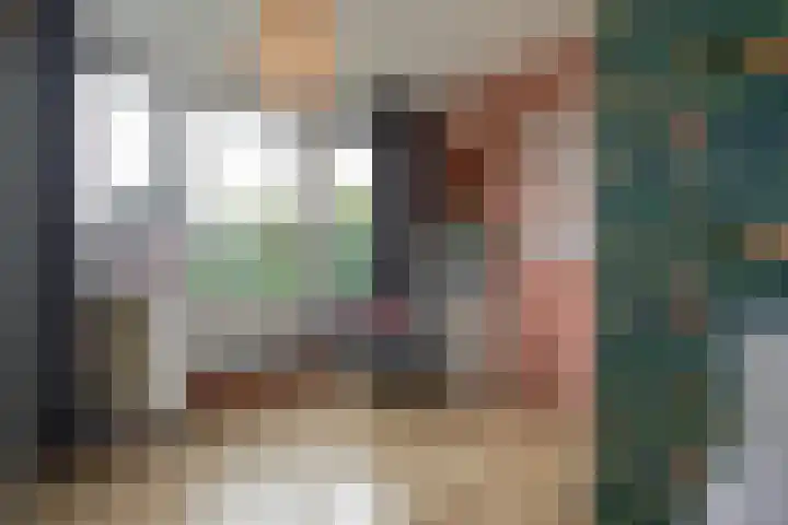 Reeststraat 29 Almelo thumbnail 34
