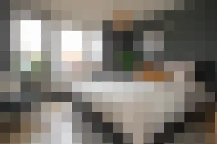 Reeststraat 29 Almelo thumbnail 36