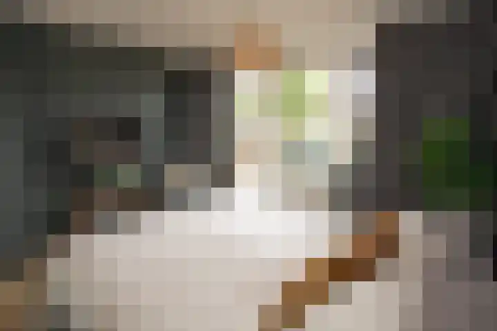 Reeststraat 29 Almelo thumbnail 37